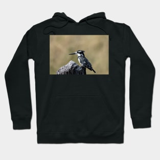 Pied Kingfisher Hoodie